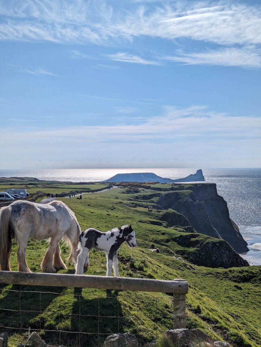 Near Worm's Head